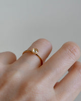 婚約指輪 朝つゆ