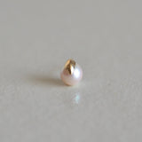 くちばし ピアス